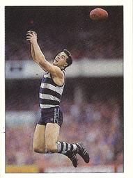 1990 Select AFL Stickers #117 Bruce Lindner Front